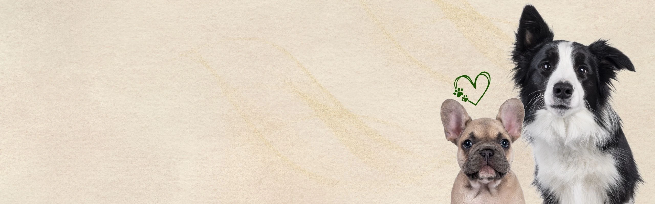 Banner background